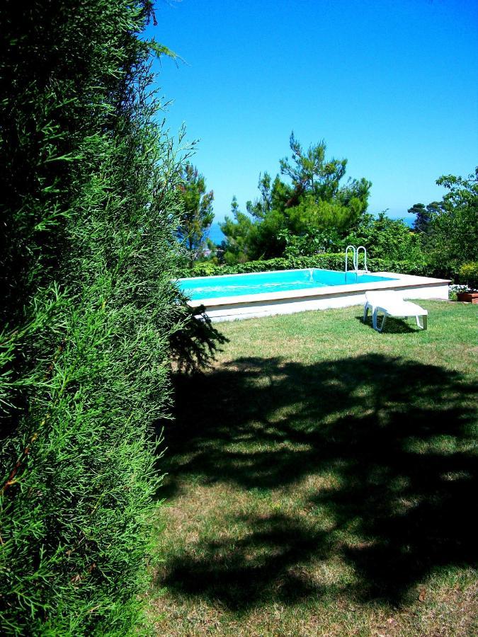 B&B Luna Blu Montesilvano Marina Екстериор снимка