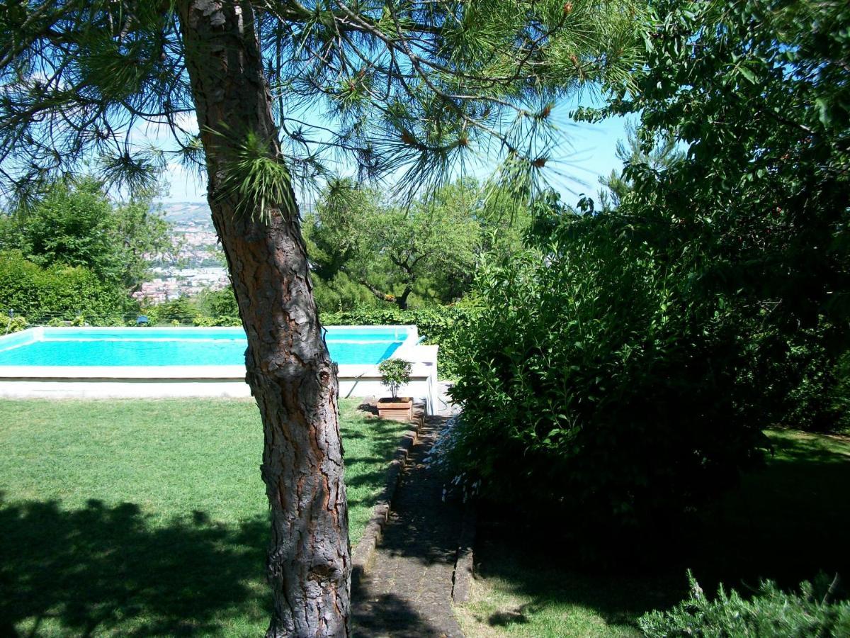 B&B Luna Blu Montesilvano Marina Екстериор снимка